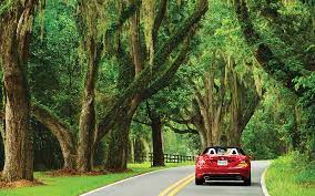 Canopy Road